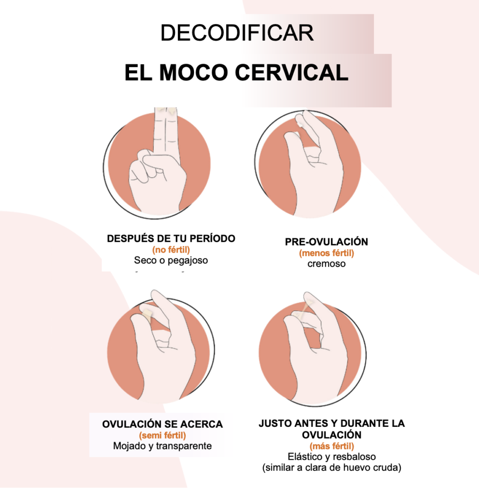 Usar El Moco Cervical Como Herramienta De Fertilidad 4351
