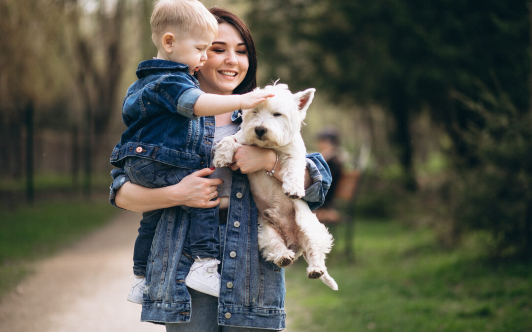 ¿Puede mi perro estar celoso del bebé?