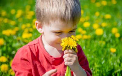 Llegó la primavera y las alergias en niños