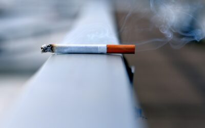 ¿Cómo afecta el humo de tabaco a tus hij@s?
