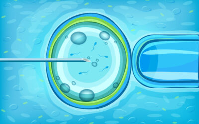 Fecundación in vitro: qué es y en qué consiste