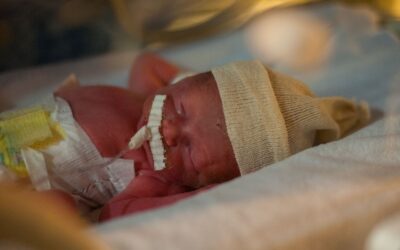 Mes del prematuro: una mirada de amor, cuidado y esperanza